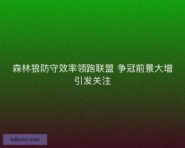 森林狼防守效率领跑联盟 争冠前景大增引发关注